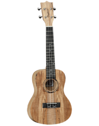 Tanglewood TWT10B Tiare Concert Ukulele Spalted Maplle