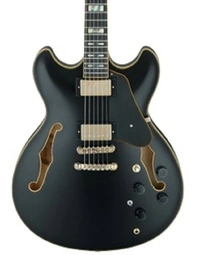 Ibanez JSM20 BKL John Scofield Signature Hollowbody Guitar Black Low Gloss