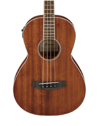 Ibanez PNB14E OPN Acoustic Bass Guitar