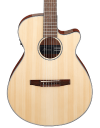 Ibanez AEG50N NT Classical Nylon String Acoustic Guitar w/ Pickup Natural High Gloss