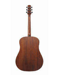 Ibanez AAD100 OPN Acoustic Guitar - Open Pore Natural