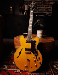 Epiphone Sheraton Frequensator Thinline Hollowbody Natural - EOSHNAGH1