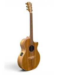 Cole Clark CCRAN2EC-BLBL-AE Recording Series All Solid Blackwood Grand Auditorium Acoustic Guitar w/ Pickup