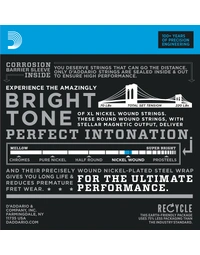 D'Addario EXL140-8 8 String 10-74 Electric Guitar Strings