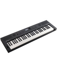 Roland GO:KEYS 5 61-Key Portable Music Creation Keyboard Graphite