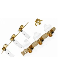 GT Classical Nylon String Acoustic Guitar Tuning Machines Decorative Plate Gold (3 A Side)