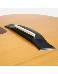 Baggs LB12 Passive 12-String Acoustic Guitar Undersaddle Pickup System w/ Micarta Saddle