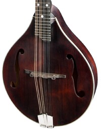 Eastman MD305 300 Series Solid Spruce/Maple A Style Mandolin