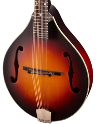 Eastman MD305E 300 Series Solid Spruce / Maple A Style Mandolin w/ Pickup Sunburst