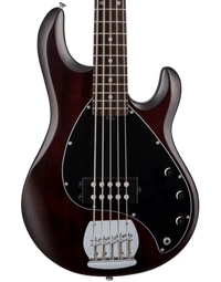 Sterling by Music Man RAY5 Sub Series StingRay 5 5-String Electric Bass Walnut Satin