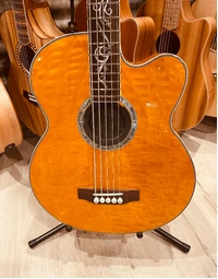 Used Michael Kelly Dragonfly 5-String Acoustic Bass w/ Fishman Pickup (Includes Hard Case)