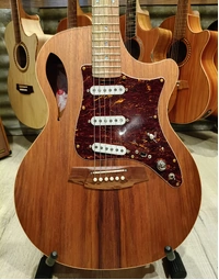 Used Cole Clark CCTL2EC-BLBL-AE-SSS Touring Series True Hybrid All Solid Blackwood Thinline Grand Auditorium Acoustic Guitar (Includes Gig Bag)