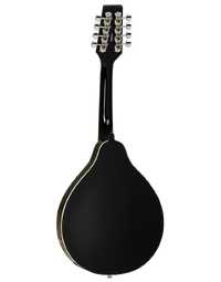 Tanglewood TWMTBKP Union Series Mandolin w/ Pickup Black
