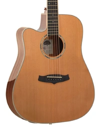 Tanglewood TWPRO5-CE-NA-LH Winterleaf Pro Solid Top Dreadnought Acoustic Left Handed w/Pickup