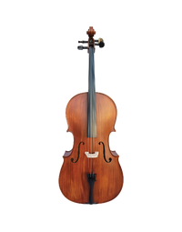 Vivo Student 4/4 Cello Outfit w/ Bag, Including Professional Setup
