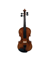 Vivo Encore 4/4 Student Violin Outfit, Including Professional Setup