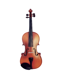 Vivo Neo 1/4 Student Violin Outfit, Including Professional Setup