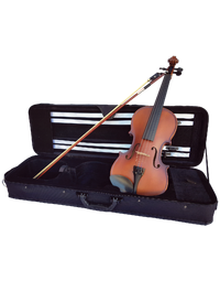 Vivo Neo Plus Student 4/4 Violin Outfit, Including Professional Setup