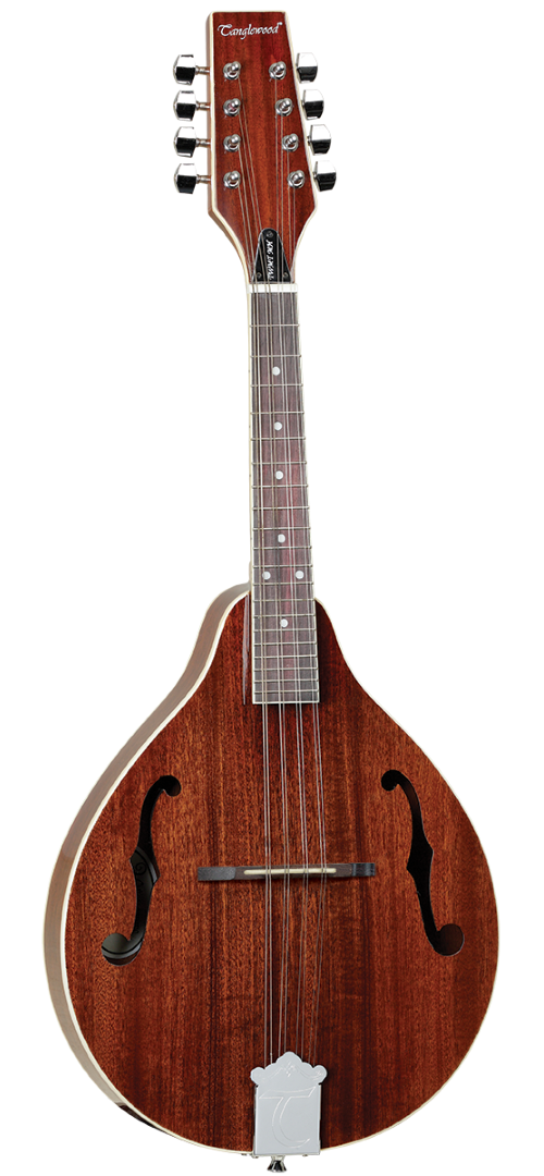 Tanglewood TWMTMH Mandolin Teardrop Mahogany Riffs & Licks Music