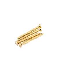 Fender American Neck Mounting Screws Gold (Set of 4)