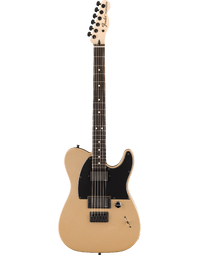 Fender Jim Root Signature Limited Edition Telecaster EB Shoreline Gold