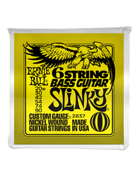 Ernie Ball Slinky 6-String w/ small ball end 29 5/8 scale Bass Guitar Strings