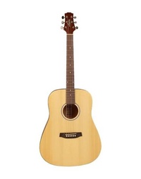 Ashton D20 NTM Acoustic Guitar