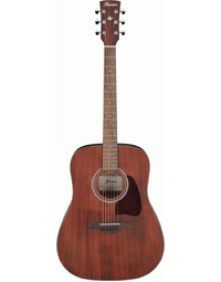 Ibanez AW54 OPN Artwood Acoustic Guitar - Open Pore Natural
