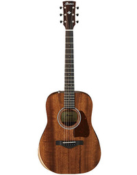 Ibanez AW54JR OPN Acoustic Guitar