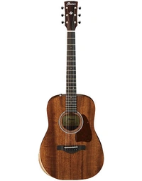 Ibanez AW54JR OPN Acoustic Guitar