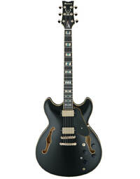 Ibanez JSM20 BKL John Scofield Signature Hollowbody Guitar Black Low Gloss