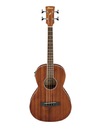 Ibanez PNB14E OPN Acoustic Bass Guitar