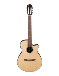 Ibanez AEG50N NT Acoustic Guitar - In Natural High Gloss