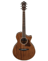 Ibanez AE245JR OPN Acoustic Guitar