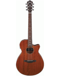Ibanez AEG220 LGS AEG Acoustic Guitar w/ Pickup Natural Low Gloss