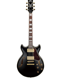 Ibanez AM73G BK Artcore Thinline Semi-Hollowbody Electric Guitar Black
