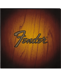 Fender Sunburst Turntable Coaster Set