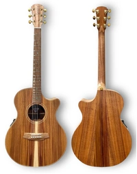 Cole Clark CCAN2EC-BLBL-AE Touring Series All Solid Blackwood Grand Auditorium Acoustic Guitar w/ Pickup