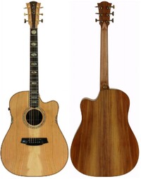Cole Clark FL3EC FL Dreadnought Acoustic Guitar Cedar Of Lebanon/Blackwood