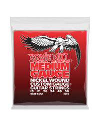 Ernie Ball Nickel Wound w/ Wound G Electric Strings