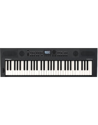 Roland GO:KEYS 5 61-Key Portable Music Creation Keyboard Graphite