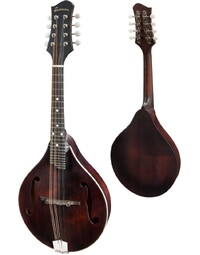 Eastman MD305 300 Series Solid Spruce/Maple A Style Mandolin