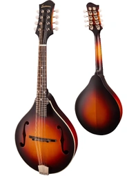 Eastman MD305E 300 Series Solid Spruce / Maple A Style Mandolin w/ Pickup Sunburst