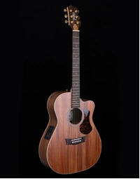 Pratley PRSTOM-SCE-BWC Studio Series Solid Cedar / Blackwood Orchestra Acoustic w/ Pickup