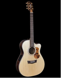 Pratley PRSTOM-SCE-RWS Studio Series Solid Spruce / Indian Rosewood Orchestra Acoustic w/ Pickup