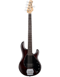 Sterling by Music Man RAY5 Sub Series StingRay 5 5-String Electric Bass Walnut Satin