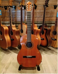 Used Jose Ramirez 1988 Concepcion Jeronima No.5 Classical Nylon String Acoustic Guitar (Includes Hard Case)