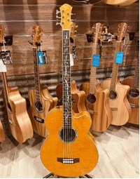 Used Michael Kelly Dragonfly 5-String Acoustic Bass w/ Fishman Pickup (Includes Hard Case)