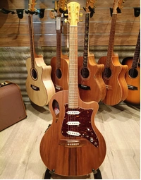 Used Cole Clark CCTL2EC-BLBL-AE-SSS Touring Series True Hybrid All Solid Blackwood Thinline Grand Auditorium Acoustic Guitar (Includes Gig Bag)