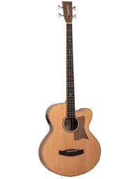 Tanglewood TRPRO-AB-BW Reunion Pro Super Jumbo Solid Top Acoustic Bass w/ Pickup